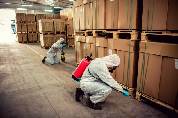 Best Insect Control  in Burleson, TX