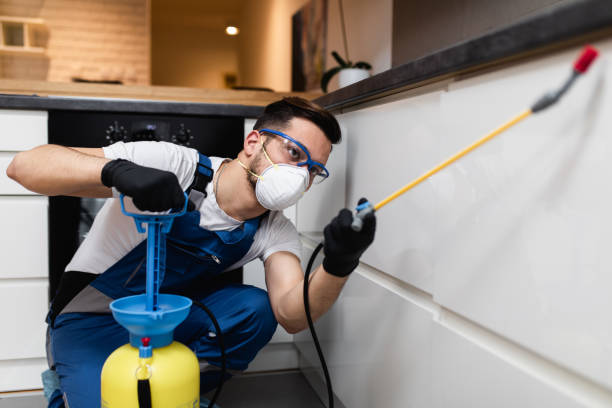 Best Flea Control Services  in Burleson, TX