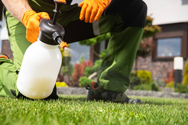 Bird Control in Burleson, TX