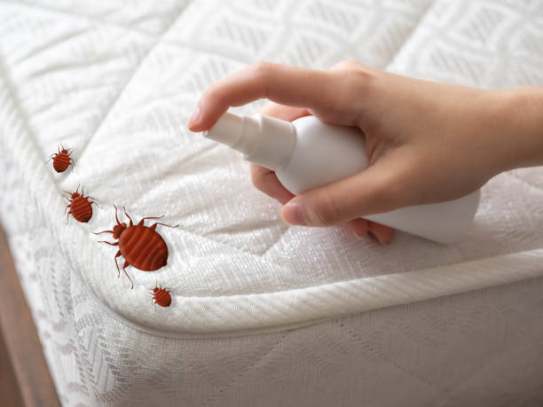 Best Emergency Pest Control  in Burleson, TX