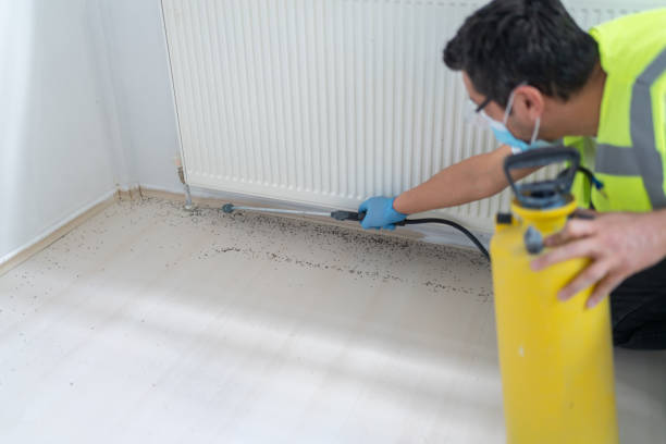 Best Affordable Pest Control Services  in Burleson, TX